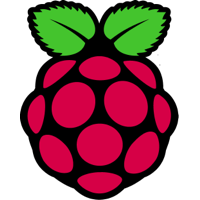 Raspberry PI icon in color - Size 200x200